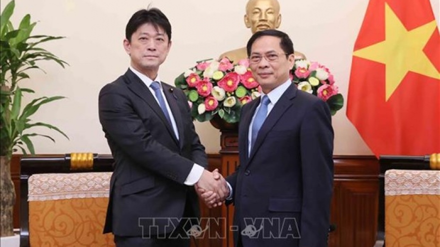 Foreign Minister lauds progress of Vietnam - Japan cooperation